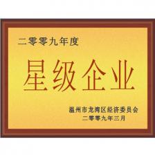 星级企业